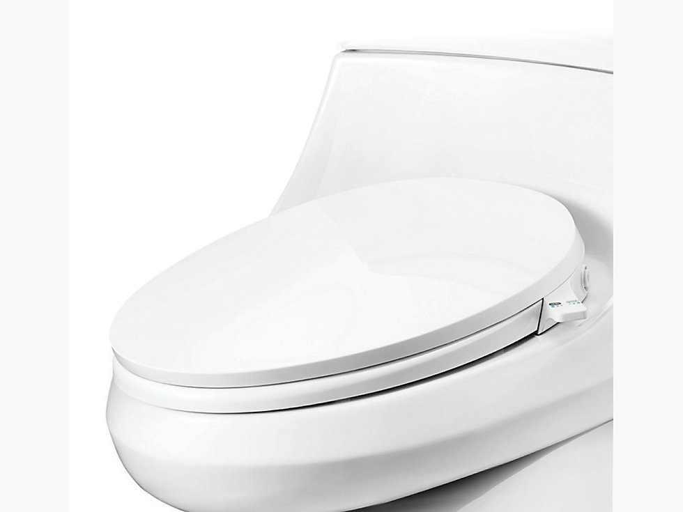 C3 030 Manual Bidet Seat Kohler Sg - Kohler Toilet Seat Installation Manual